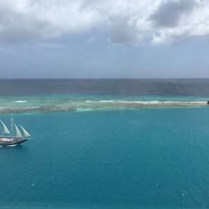 Meet your Posher, Lynn